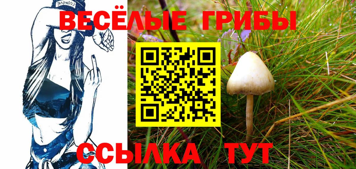 Кунгур  Псилоцибиновые грибы MAGIC MUSHROOMS  Вход с VPN 
